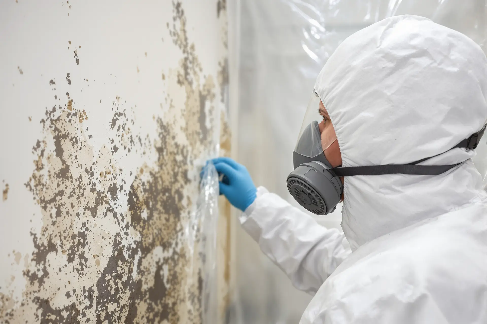 How Much Does Mold Remediation Cost in Illinois? (2026 Chicago-Suburb Pricing)