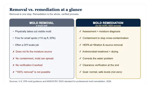 Mold Removal vs. Mold Remediation: What's the Difference (and Why It Matters for Your Claim) — data chart