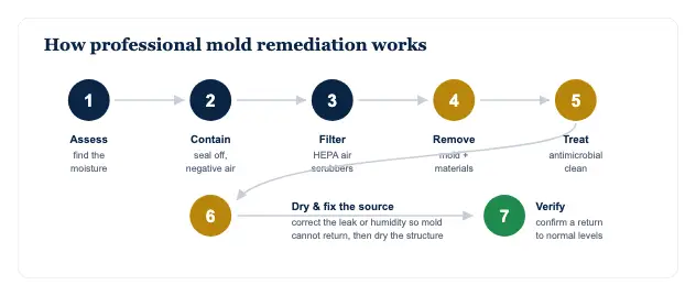 Mold Removal vs. Mold Remediation: What's the Difference (and Why It Matters for Your Claim) — data chart