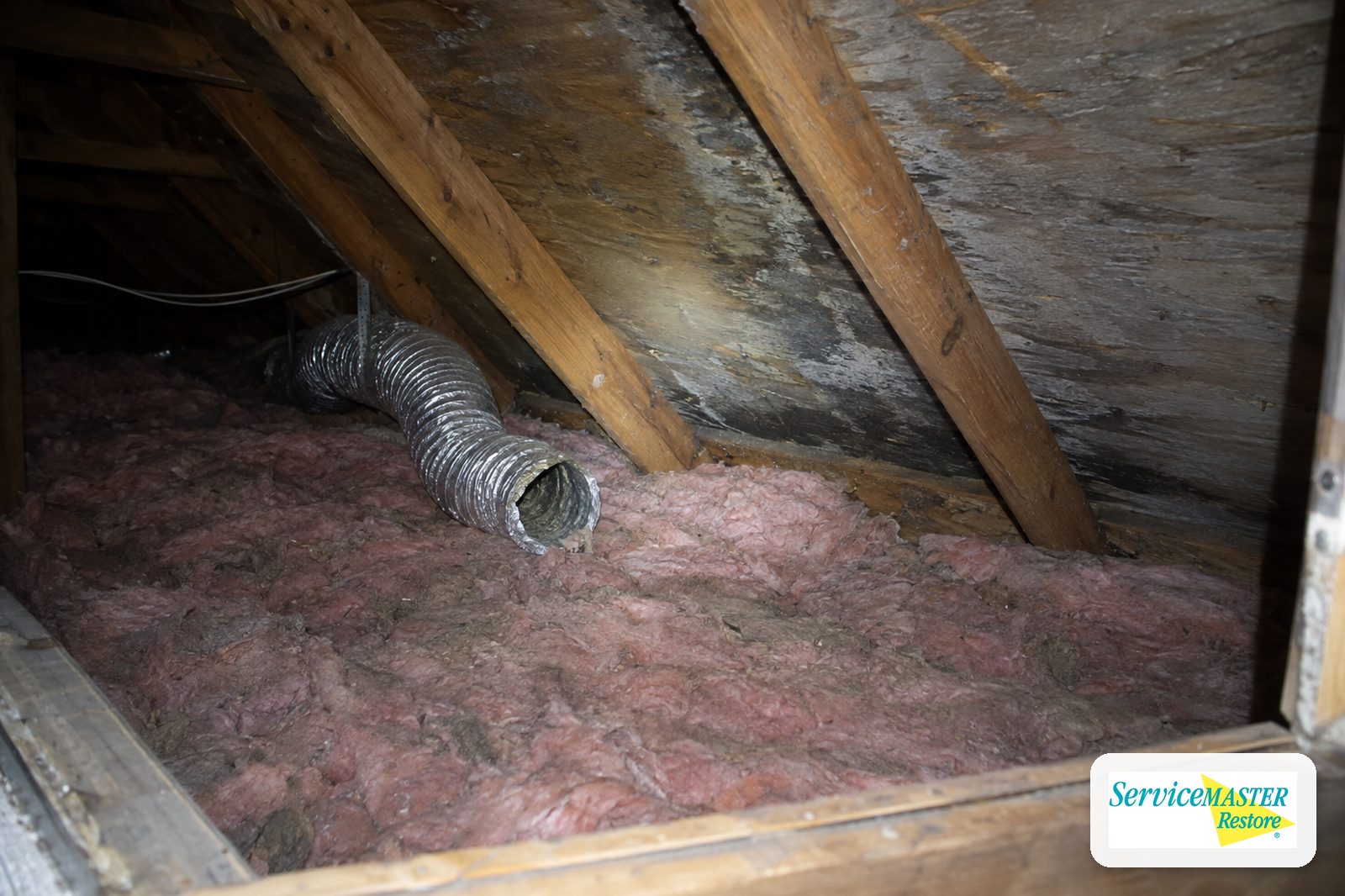 Attic with stained roof sheathing near the eaves and a bathroom fan duct ending inside the attic